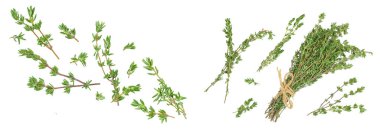 fresh thyme isolated on a white background with  full depth of field, Top view. Flat lay,