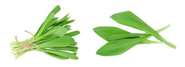 Ramson 'ın sebzeleri beyaz arka planda izole edilmiş ve geniş bir alana yayılmış. Üst Manzara. Düz yatıyordu,