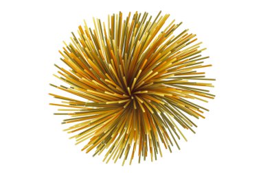 Beyaz arka planda izole edilmiş renkli üç renkli makarna. Üst Manzara. Düz yatıyordu.