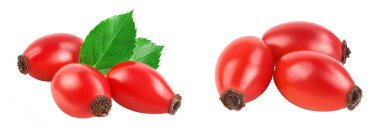 Rose kalçası beyaz bir arkaplanda tam derinlikte izole edilmiş..