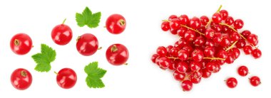 Beyaz arka plan üzerinde izole kırmızı kuş üzümü meyve. Üstten Görünüm. Düz yatıyordu desen.