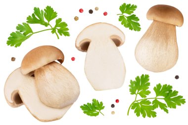 Beyaz arka planda izole edilmiş taze Porcini Sefer mantarı. Üst Manzara. Düz yatıyordu.