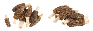 Çiğ morel mantarı beyaz arka planda izole edilmiş, geniş bir alana yayılmış. Üst Manzara. Düz yatıyordu