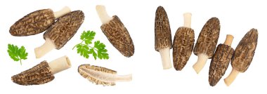 Çiğ morel mantarı beyaz arka planda izole edilmiş, geniş bir alana yayılmış. Üst Manzara. Düz yatıyordu