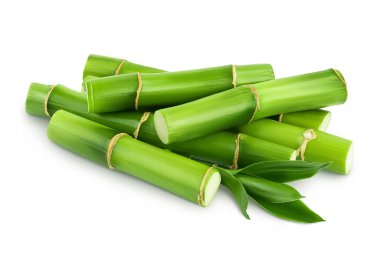 Beyaz zemin üzerinde yaprakları ile yeşil bambu tam derinlik alan.