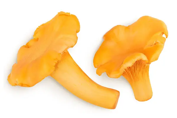 stock image Chanterelle mushroom isolated on a white background. Top view. Flat lay.