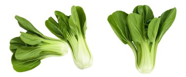 Beyaz arka planda taze pak choi lahanası var. Üst Manzara. Düz yatıyordu.