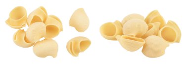 Lumaconi makarnası beyaz arka planda izole edilmiş, geniş bir alana yayılmış. Üst Manzara. Düz yatıyordu.