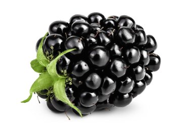 BlackBerry üzerinde beyaz arka plan closeup izole yaprak ile