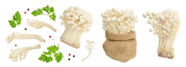 Enoki mantarı, beyaz arka planda izole edilmiş altın iğneli mantar. Üst Manzara. Düz yatıyordu.