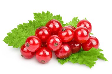 Beyaz arkaplanda kırmızı frenk üzümü var..