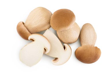 Beyaz arka planda izole edilmiş taze Porcini Sefer mantarı. Üst Manzara. Düz yatıyordu