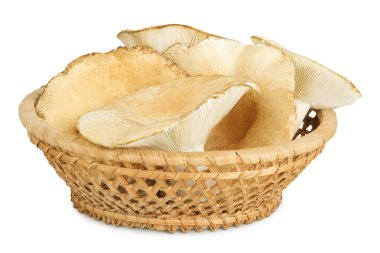 fresh milk cap boletus mushroom in a wicker basket isolated on white background. clipart