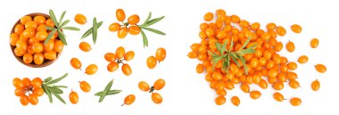 Tahta kasedeki deniz dikenleri. Beyaz arka planda yaprakları olan taze olgun meyveler. Üst Manzara. Düz uzanma deseni.