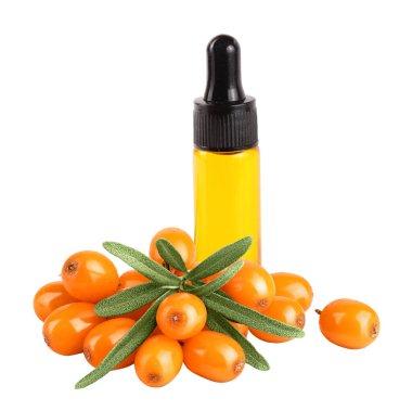 Şişedeki deniz dikenli karabatak yağı. Beyaz arka plan makrosu üzerindeki yapraklarla taze olgun meyveler..