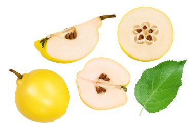 Yarısı taze ayva ve beyaz arka planda tam derinlikte izole edilmiş dilimler. Üst Manzara. Düz yatıyordu.