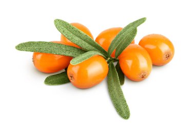 Deniz topalak. Beyaz arka plan makro'izole yaprakları ile taze olgun berry.