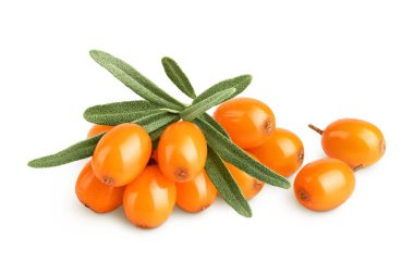 Deniz topalak. Beyaz arka plan makro'izole yaprakları ile taze olgun berry.