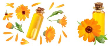 Beyaz arka planda karanfil çiçekli aromaterapi gerekli yağ. Üst Manzara. Düz yatıyordu