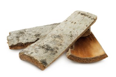 piece of aspen bark isolated on white background