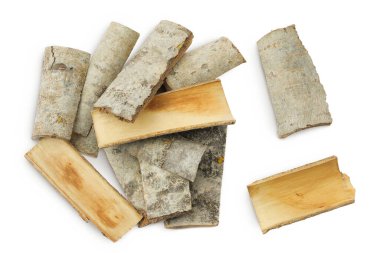piece of aspen bark isolated on white background. Top view, flat lay.