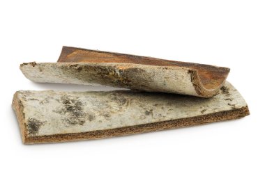 piece of aspen bark isolated on white background