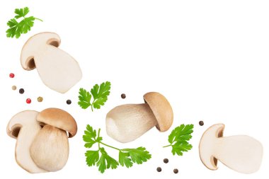 Beyaz arka planda izole edilmiş taze Porcini Sefer mantarı. Metnin için kopyalama alanı olan üst görünüm. Düz yatıyordu.