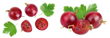 Kırmızı bektaşi üzümü beyaz arka planda izole edilmiş. Üst Manzara. Düz yatıyordu