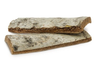 piece of aspen bark isolated on white background
