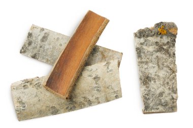 piece of aspen bark isolated on white background. Top view, flat lay.