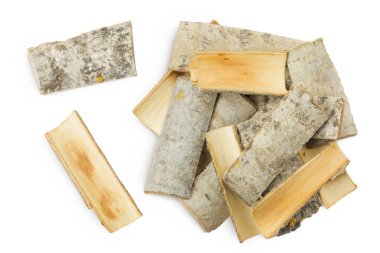 piece of aspen bark isolated on white background. Top view, flat lay.