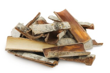 piece of aspen bark isolated on white background