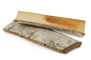 piece of aspen bark isolated on white background