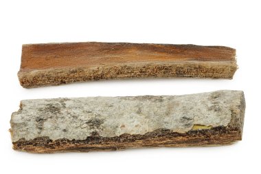 piece of aspen bark isolated on white background