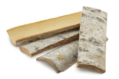 piece of aspen bark isolated on white background