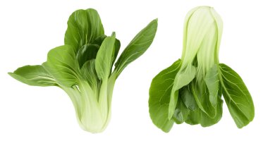 Taze pak choi lahanası beyaz arka planda izole edilmiş, geniş bir alana yayılmış..