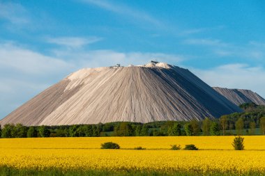 Tuz dağı, kolza tohumu tarlasının arkasında, güzel bir havada.