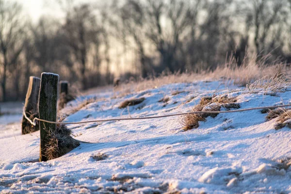 stock image A cordon in the nature reserve in winter