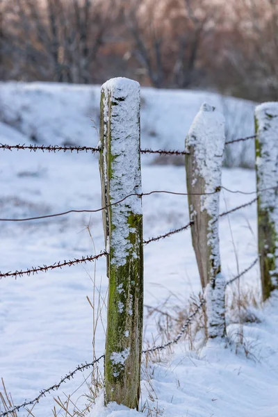 Cerca Velha Com Arame Enferrujado Inverno — Fotografia de Stock