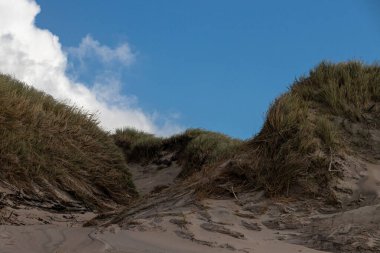 Güzel havalarda kumlu kumullar