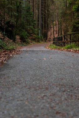 Lichtenhain ormanında yürüyüş yolu.