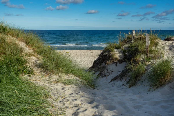 Доступ Пляжу Природному Пляжі Фоні Моря — стокове фото