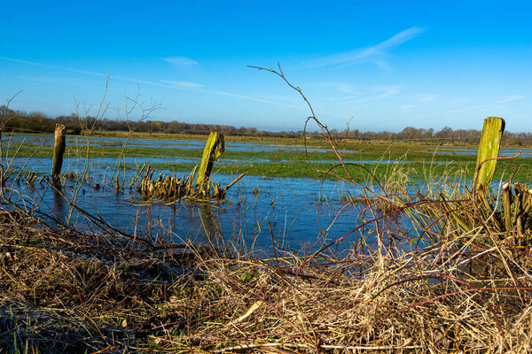 Flooded meadow in the Lower Lake Lowlands nature reserve