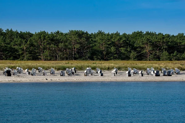 Muitas Cadeiras Praia Praia Primeiro Plano Água Fundo Floresta — Fotografia de Stock