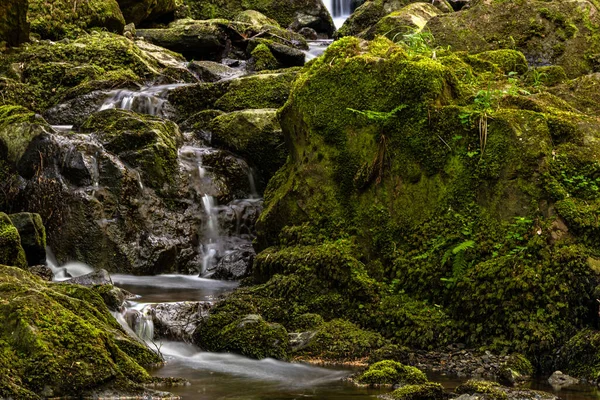 stock image Wild creek with rocks. Long exposure