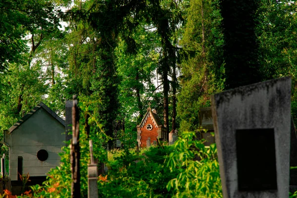 Mezarlık Mezarlığı Mezar Taşı Altyapı Nesnelerini Orman Çevresi Uzayına Taşır — Stok fotoğraf