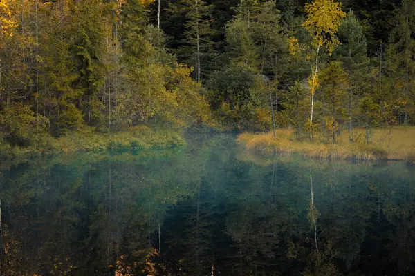 Одиночество Вид Природу Пруда Отражение Поверхности Воды Осеннего Леса Туман — стоковое фото