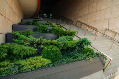 Dışarıdaki alışveriş merkezinin dış tasarımı. Girişteki taş merdivenler boyunca çiçekli teraslar.