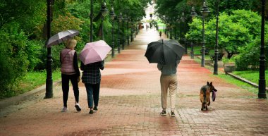 Parkta köpekle yürüyen üç kadın, yağmurlu sonbahar sabahları şemsiye taşıyan personel.