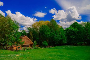 Cennetlik duvar kağıdı yerleşimi Ukrayna köyü yalnız ahşap kulübe ormanın kenarında resim gibi ve doğal çevre ile